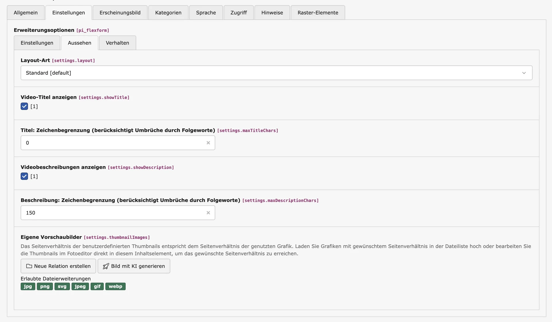TYPO3 Video-Inhaltselement Backend Reiter Aussehen