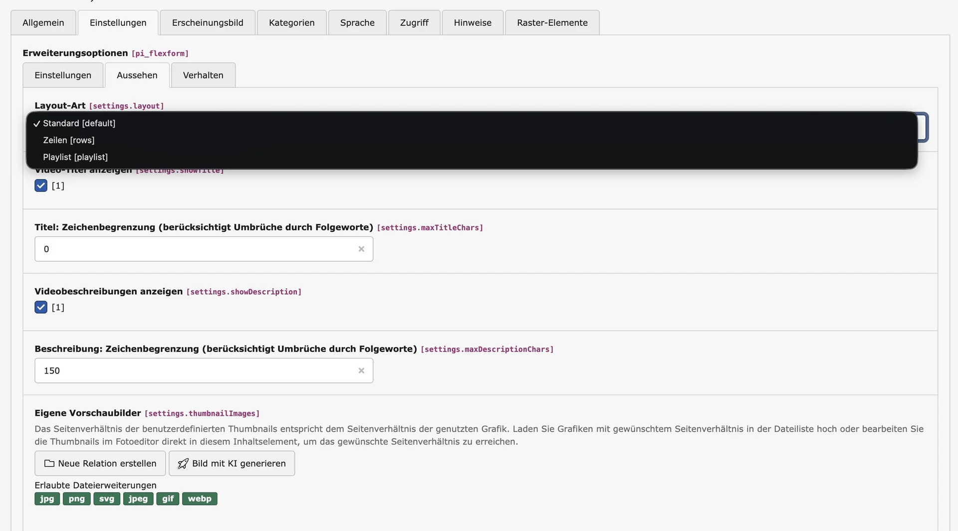 TYPO3 Video Extension: Einstellungsmöglichkeiten für YouTube-, Vimeo & lokale Videos