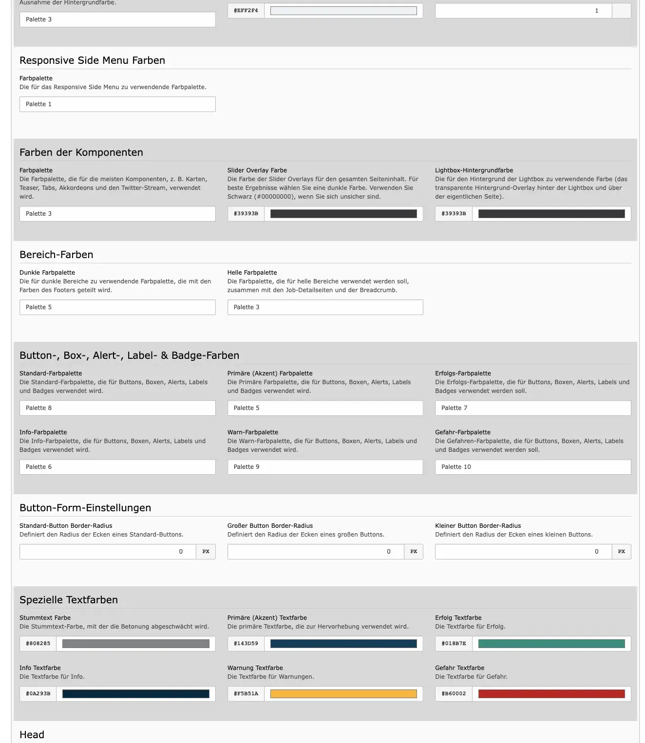 TYPO3 Module Website Configuration Tab Design