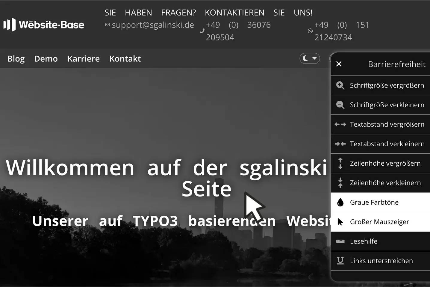 TYPO3 Website Base Einstellungen für Barrierefreiheit