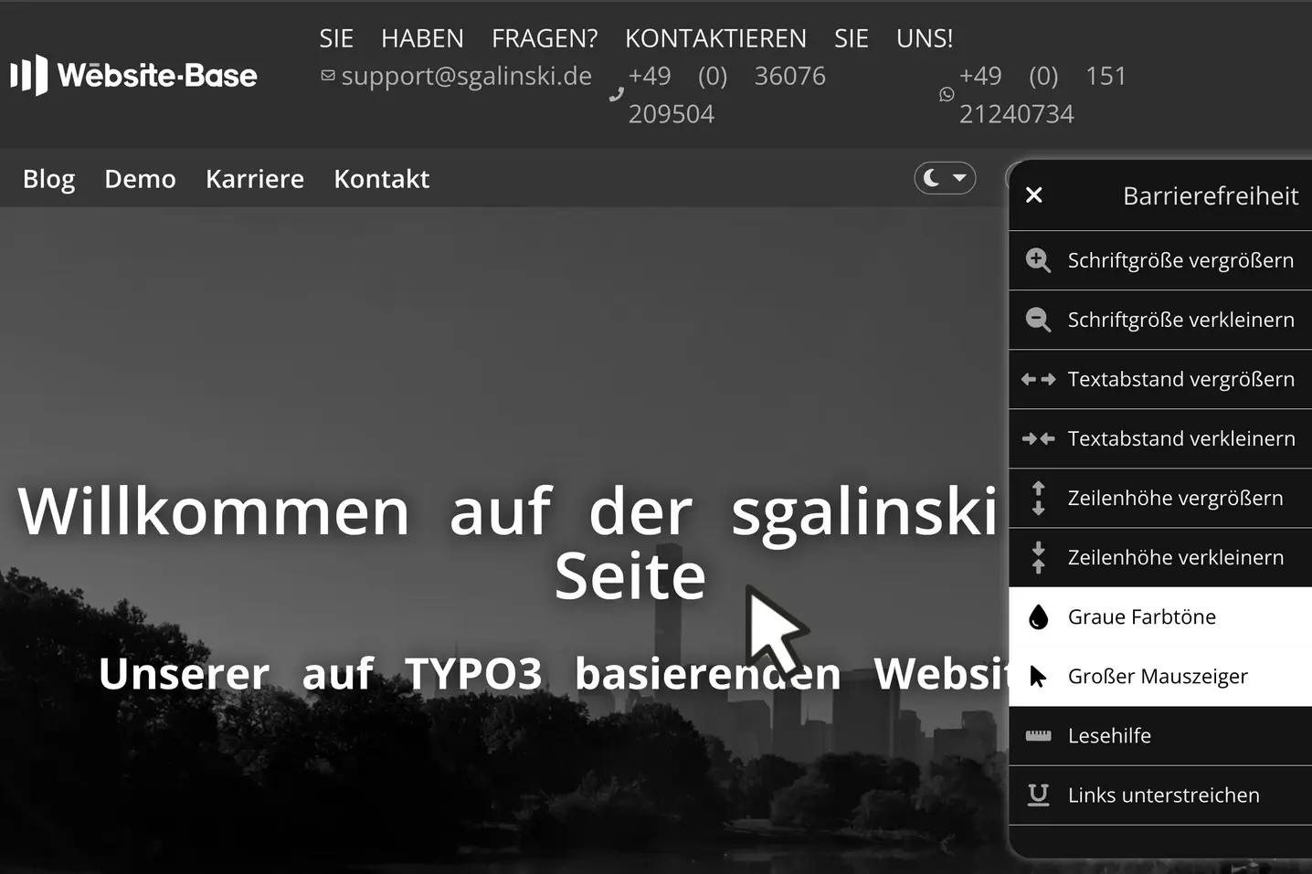 TYPO3 Website Base settings for accessibility